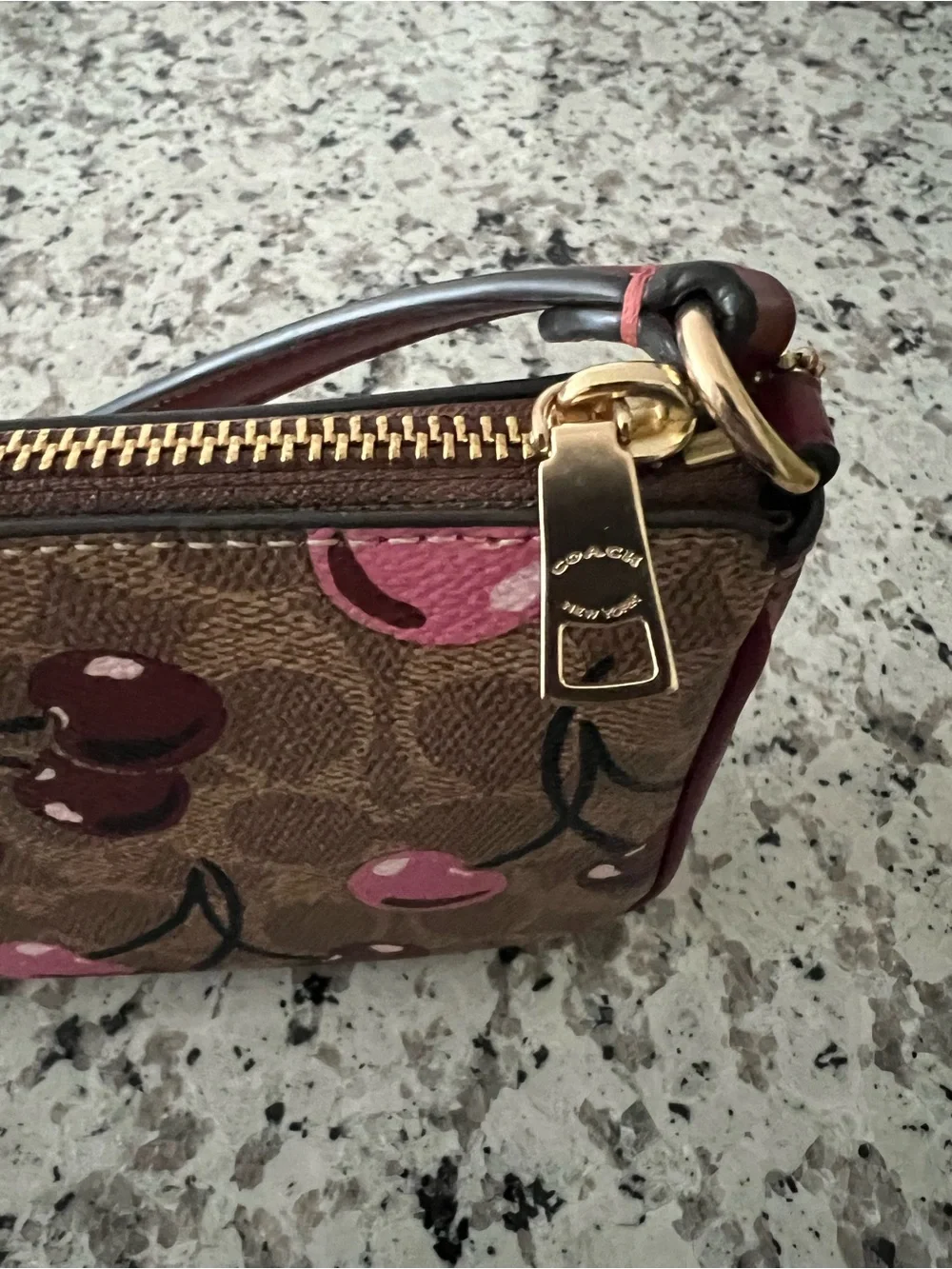 COACH Nolita 19 In Signature Canvas With Cherry Print Pre Owned